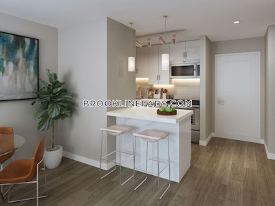 Brookline 1 Bed 1 Bath BROOKLINE- BROOKLINE VILLAGE $3,399  Brookline Village - $3,395