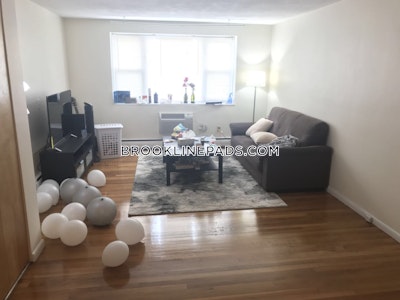 Brookline Apartment for rent 2 Bedrooms 1 Bath  Boston University - $3,700