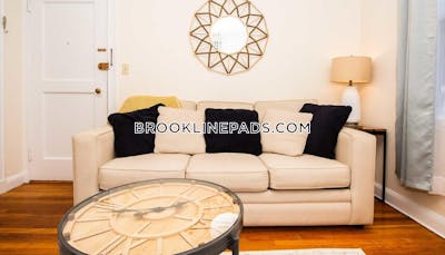 Brookline Apartment for rent 1 Bedroom 1 Bath  Longwood Area - $4,500