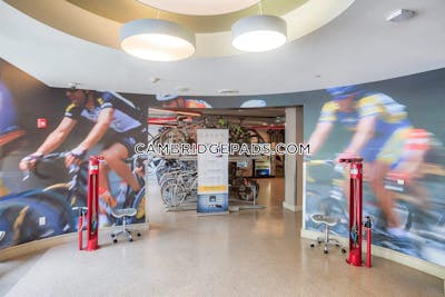 Cambridge Apartment for rent 1 Bedroom 1 Bath  Alewife - $2,947 No Fee