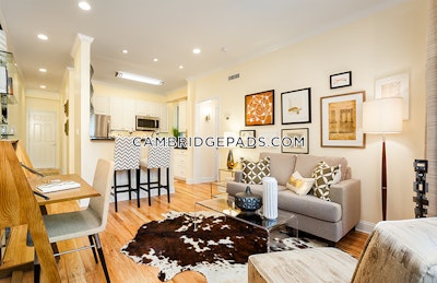 Cambridge Apartment for rent 2 Bedrooms 1 Bath  Harvard Square - $3,875 No Fee