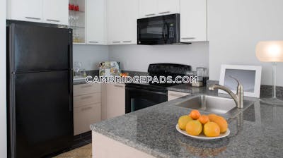 Cambridge Stunning Studio 1 Bath  Kendall Square - $3,271