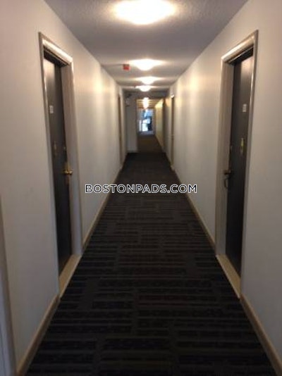 Cambridge Apartment for rent 1 Bedroom 1 Bath  Mt. Auburn/brattle/ Fresh Pond - $2,700 No Fee