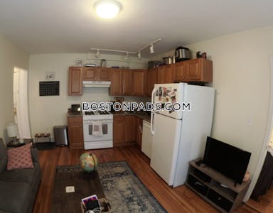 Brighton Apartment for rent 1 Bedroom 1 Bath Boston - $2,400