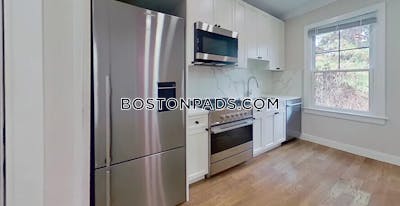 Brighton Apartment for rent 1 Bedroom 1 Bath Boston - $3,500 No Fee