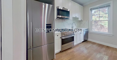 Brighton Apartment for rent 1 Bedroom 1 Bath Boston - $3,500 No Fee
