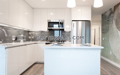 West End Apartment for rent 2 Bedrooms 2 Baths Boston - $10,271
