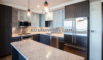 West End 1 bedroom  Luxury in BOSTON Boston - $4,382