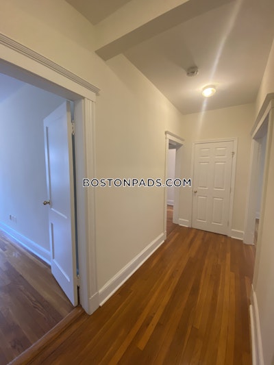 Brighton Apartment for rent 3 Bedrooms 1 Bath Boston - $3,650 No Fee