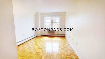 Brookline Apartment for rent 1 Bedroom 1 Bath Boston University - $3,100 No Fee