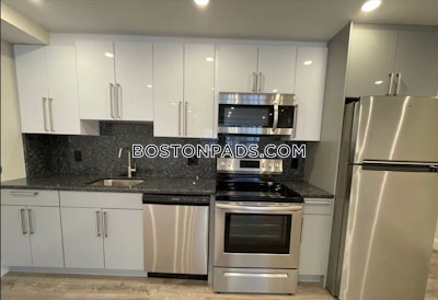 Allston Apartment for rent Studio 1 Bath Boston - $2,900 No Fee