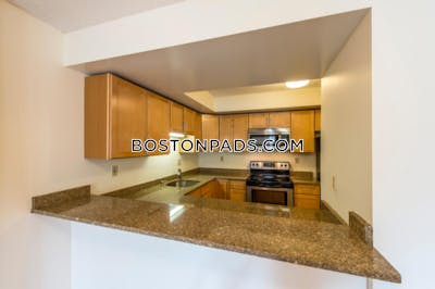 Cambridge Apartment for rent 2 Bedrooms 2 Baths  Central Square/cambridgeport - $4,100 No Fee