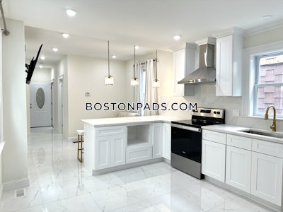 Roxbury Apartment for rent 3 Bedrooms 2 Baths Boston - $4,000