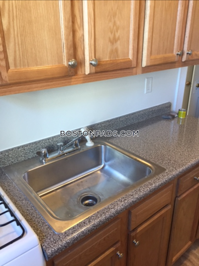 Allston Apartment for rent 1 Bedroom 1 Bath Boston - $2,625 No Fee