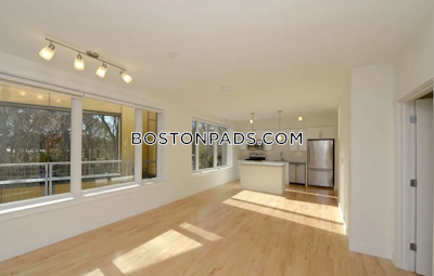 Cambridge Apartment for rent 2 Bedrooms 2 Baths  Mt. Auburn/brattle/ Fresh Pond - $4,300