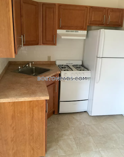 Allston Apartment for rent 1 Bedroom 1 Bath Boston - $2,425