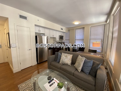 Downtown Apartment for rent 1 Bedroom 1 Bath Boston - $3,400