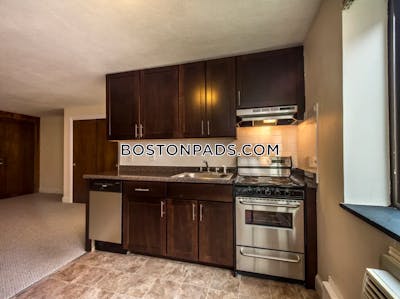 Cambridge Apartment for rent Studio 1 Bath  Davis Square - $2,050 No Fee