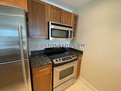 West End Apartment for rent 1 Bedroom 1 Bath Boston - $3,425