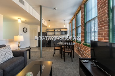 Waltham Apartment for rent Studio 1 Bath - $2,899
