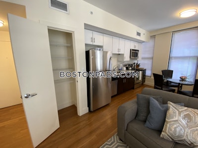 Downtown Apartment for rent 1 Bedroom 1 Bath Boston - $3,400
