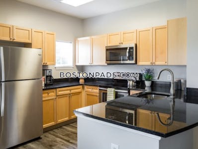 Waltham Apartment for rent 2 Bedrooms 2 Baths - $3,707