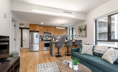 Allston Apartment for rent 2 Bedrooms 2 Baths Boston - $5,100 No Fee