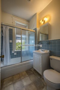 Allston Apartment for rent 1 Bedroom 1 Bath Boston - $2,675