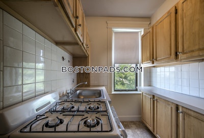 Allston Apartment for rent Studio 1 Bath Boston - $2,000 No Fee