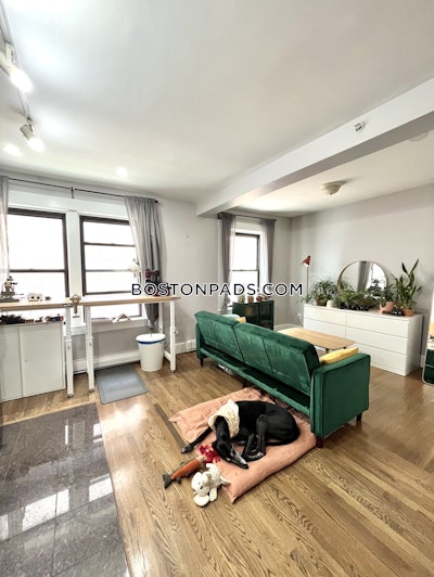 Downtown Apartment for rent 1 Bedroom 1 Bath Boston - $2,800 50% Fee