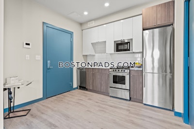 Dorchester/south Boston Border Apartment for rent 2 Bedrooms 2 Baths Boston - $3,350