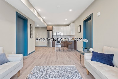 Dorchester/south Boston Border Apartment for rent 2 Bedrooms 2 Baths Boston - $3,350