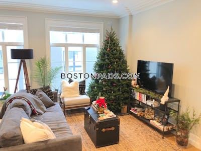 Mission Hill Apartment for rent 1 Bedroom 1 Bath Boston - $3,175