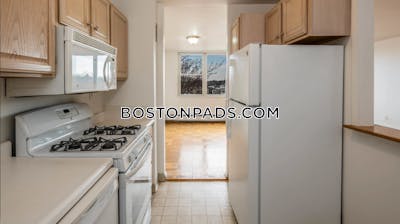 Cambridge Apartment for rent 1 Bedroom 1 Bath  Porter Square - $3,037 No Fee