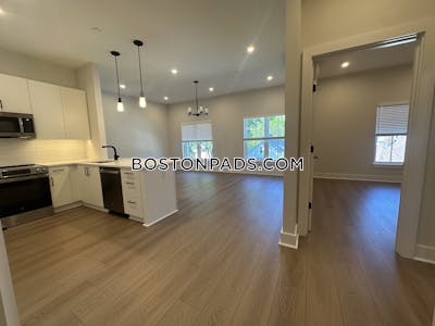 Brighton 2 bedroom 2 baths in BOSTON Boston - $5,000