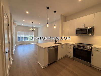 Brighton 2 bedroom 2 baths in BOSTON Boston - $5,000