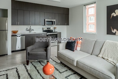 Dorchester Apartment for rent 2 Bedrooms 1 Bath Boston - $3,095 50% Fee