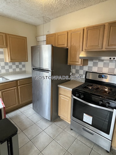 Allston/brighton Border Apartment for rent 2 Bedrooms 1 Bath Boston - $2,995