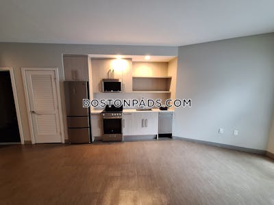 Jamaica Plain Apartment for rent Studio 1 Bath Boston - $3,525 No Fee