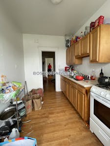 Brighton Apartment for rent 1 Bedroom 1 Bath Boston - $2,595 No Fee