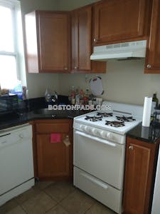Allston Apartment for rent 1 Bedroom 1 Bath Boston - $2,930
