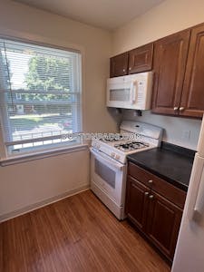 East Boston Apartment for rent 1 Bedroom 1 Bath Boston - $2,402
