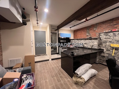 Allston Apartment for rent 1 Bedroom 1 Bath Boston - $3,200