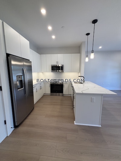 Brighton Apartment for rent 2 Bedrooms 2 Baths Boston - $4,250 No Fee