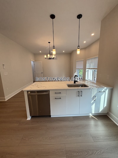 Brighton Apartment for rent 2 Bedrooms 1 Bath Boston - $3,950 No Fee