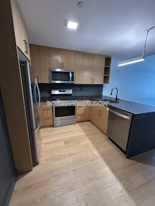 Allston Apartment for rent 2 Bedrooms 2 Baths Boston - $4,375 No Fee