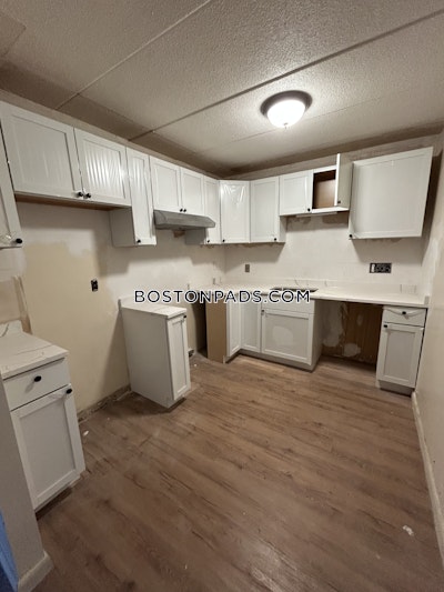 Cambridge Apartment for rent 2 Bedrooms 1.5 Baths  Mt. Auburn/brattle/ Fresh Pond - $2,950