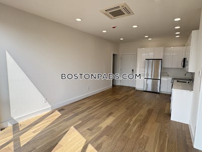 Brighton Apartment for rent 1 Bedroom 1 Bath Boston - $2,995 No Fee