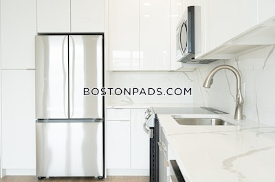 Brighton Apartment for rent 1 Bedroom 1 Bath Boston - $2,995 No Fee