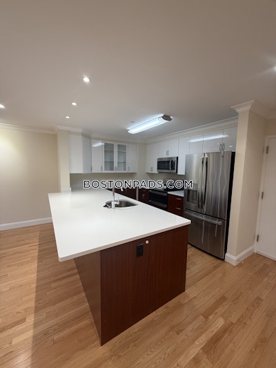 Brookline 2 bedroom 2.5 baths Luxury in BROOKLINE- COOLIDGE CORNER  Coolidge Corner - $7,595 No Fee